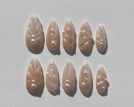 seashell