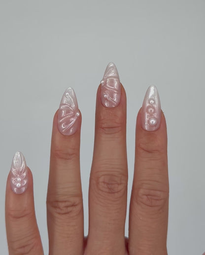 seashell